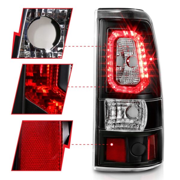 Tail Light Assembly