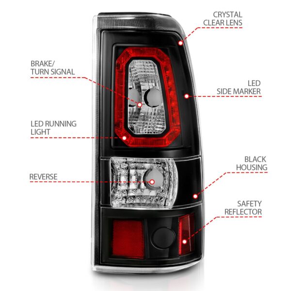 Tail Light Assembly