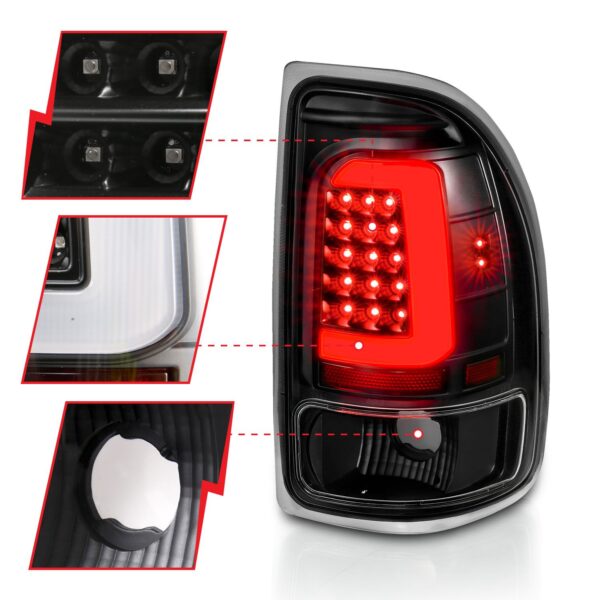 Tail Light Assembly