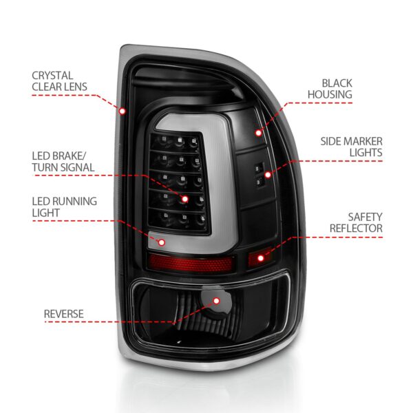 Tail Light Assembly