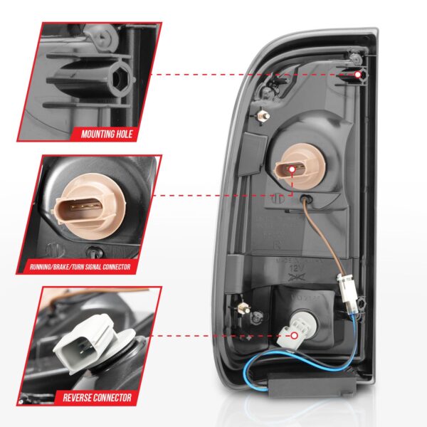 Tail Light Assembly
