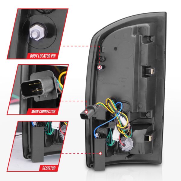 Tail Light Assembly
