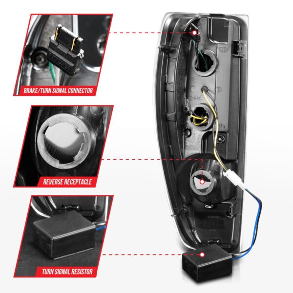 Tail Light Assembly