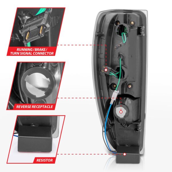 Tail Light Assembly