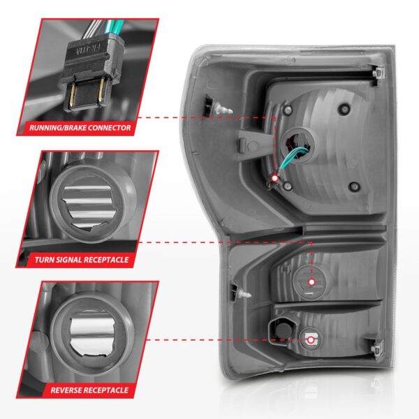 Tail Light Assembly