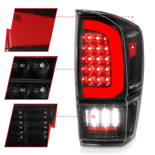 Tail Light Assembly