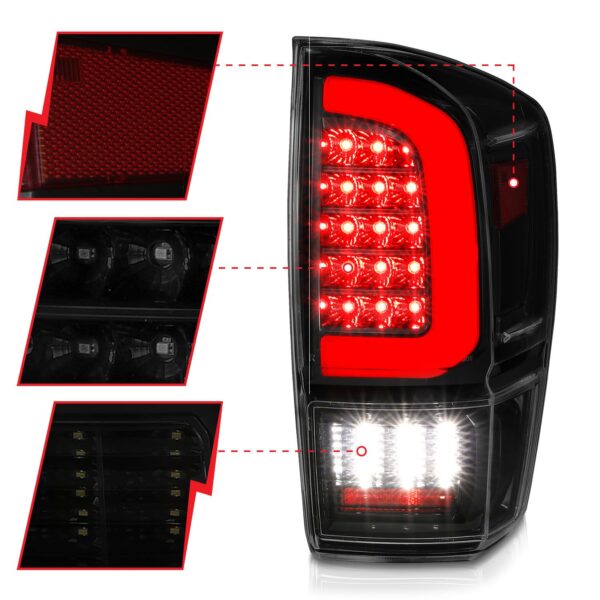 Tail Light Assembly
