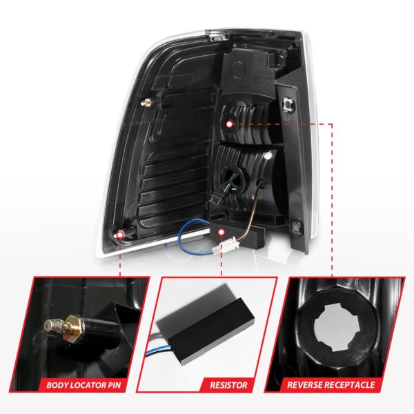 Tail Light Assembly