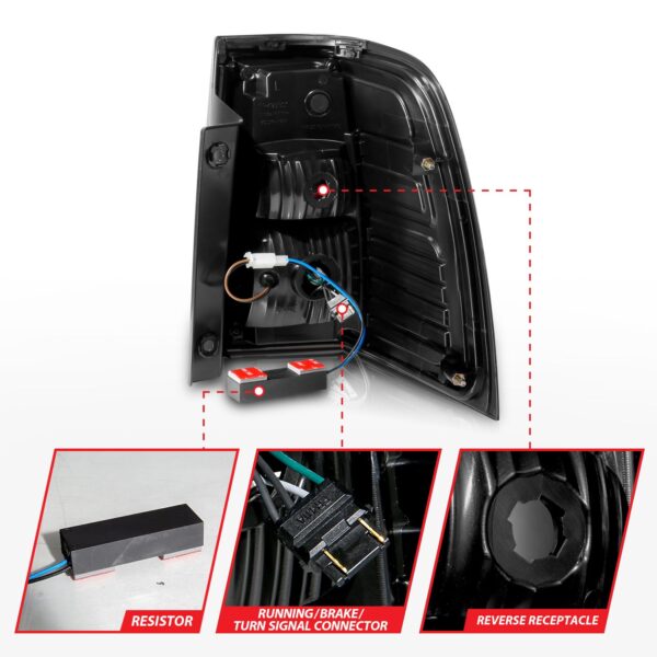 Tail Light Assembly