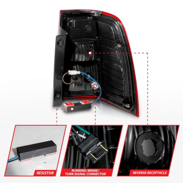 Tail Light Assembly