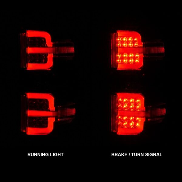 Tail Light Assembly