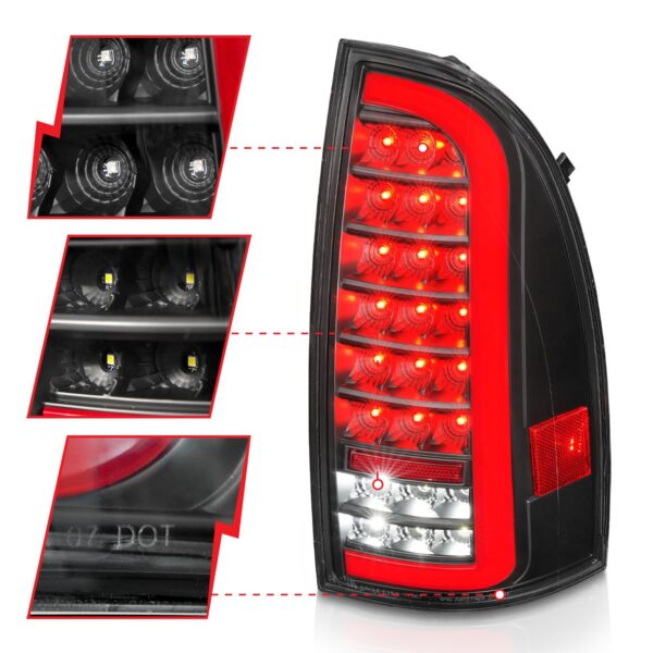 Tail Light Assembly