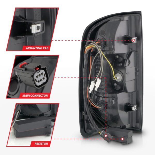 Tail Light Assembly