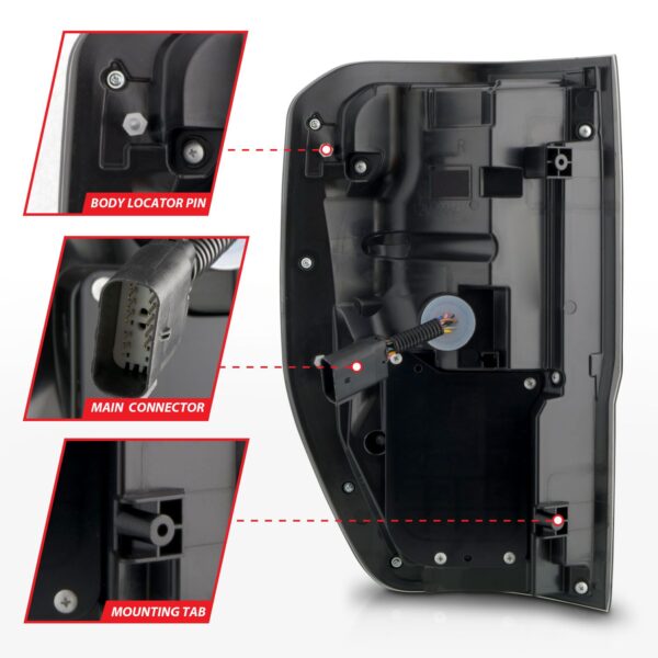 Tail Light Assembly