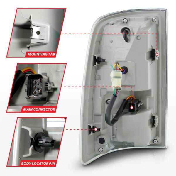 Tail Light Assembly