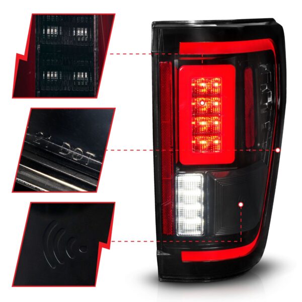 Tail Light Assembly