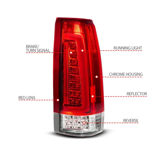 Tail Light Assembly