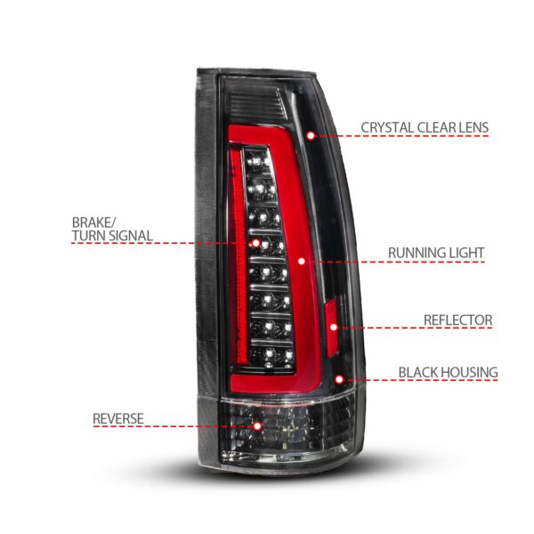 Tail Light Assembly