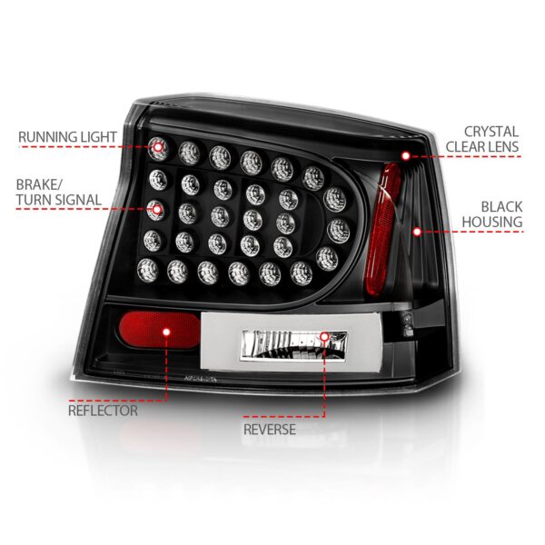 Tail Light Assembly