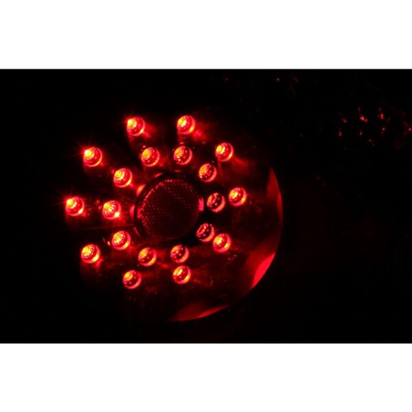 Tail Light Assembly