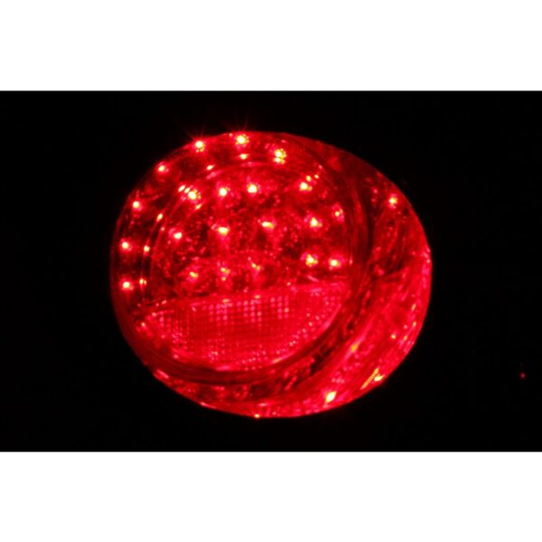 Tail Light Assembly
