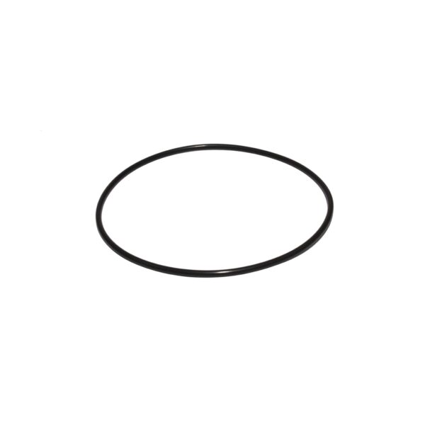 RHS LS Race Block Thrust Plate O-Ring