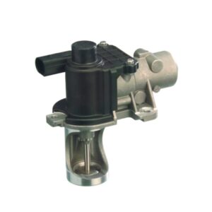 Exhaust Gas Recirculation (EGR) Valve