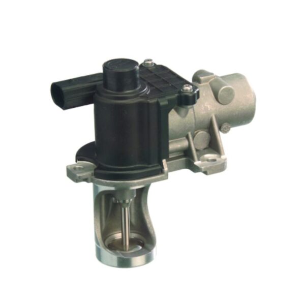 Exhaust Gas Recirculation (EGR) Valve