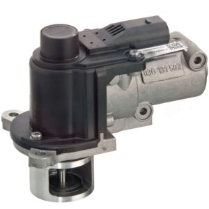 Exhaust Gas Recirculation (EGR) Valve