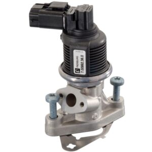 Exhaust Gas Recirculation (EGR) Valve