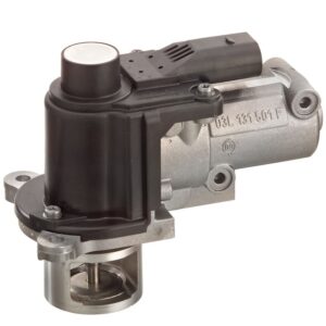Exhaust Gas Recirculation (EGR) Valve