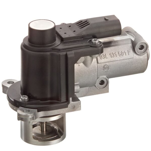 Exhaust Gas Recirculation (EGR) Valve