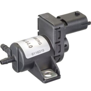 Exhaust Gas Recirculation (EGR) Valve