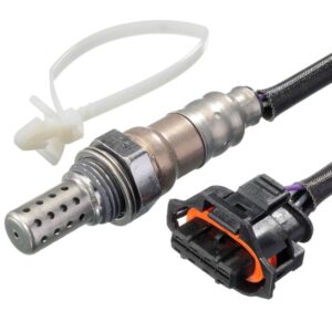 Oxygen Sensor