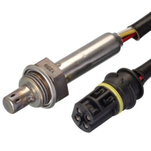 Oxygen Sensor