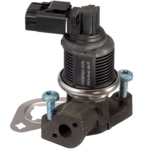 Exhaust Gas Recirculation (EGR) Valve