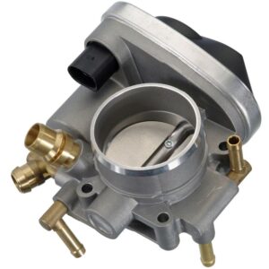 Electronic Throttle Body Module