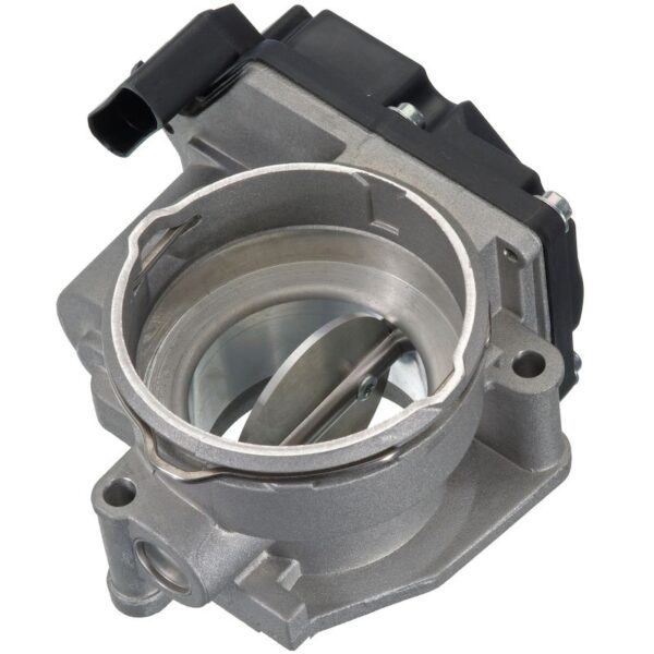 Fuel Injection Throttle Body