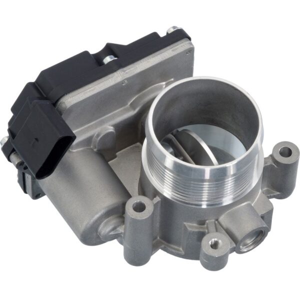 Fuel Injection Throttle Body
