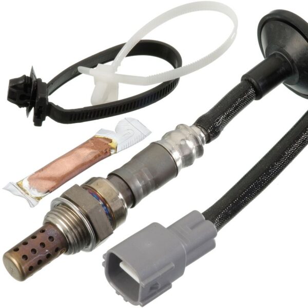 Oxygen Sensor