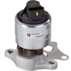 Exhaust Gas Recirculation (EGR) Valve