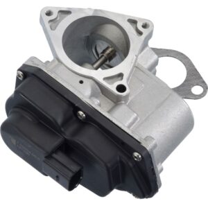 Exhaust Gas Recirculation (EGR) Valve