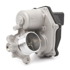 Exhaust Gas Recirculation (EGR) Valve