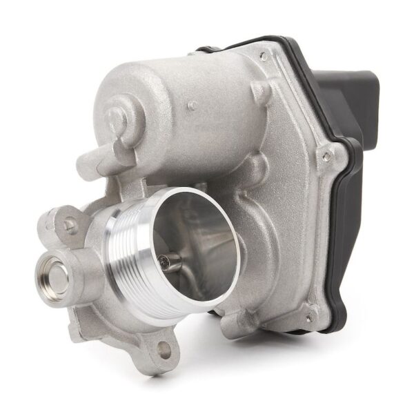 Exhaust Gas Recirculation (EGR) Valve