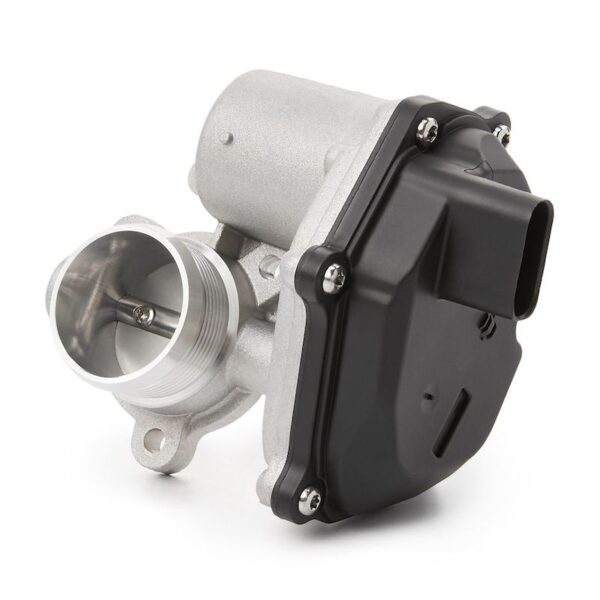 Exhaust Gas Recirculation (EGR) Valve