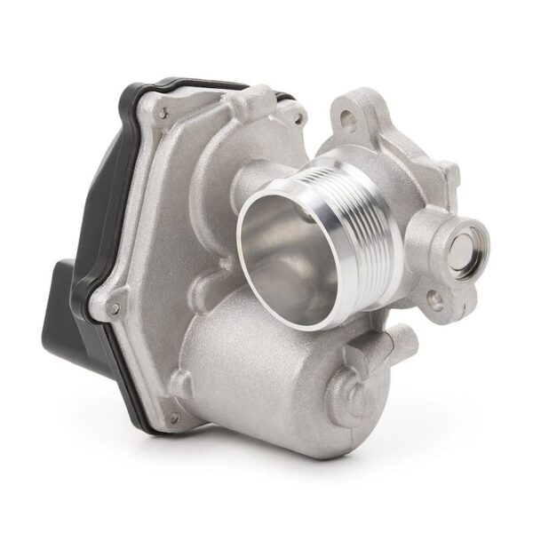 Exhaust Gas Recirculation (EGR) Valve