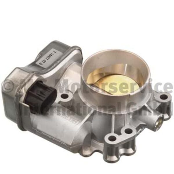Fuel Injection Throttle Body