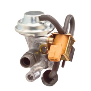 Exhaust Gas Recirculation (EGR) Valve