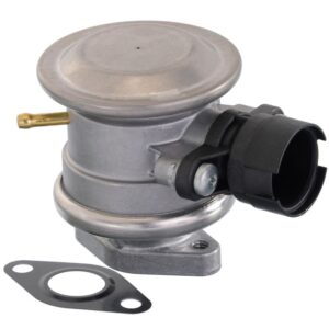 Secondary Air Injection Pump Check Valve