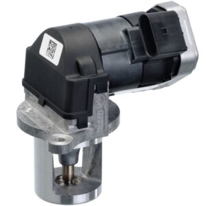 Exhaust Gas Recirculation (EGR) Valve
